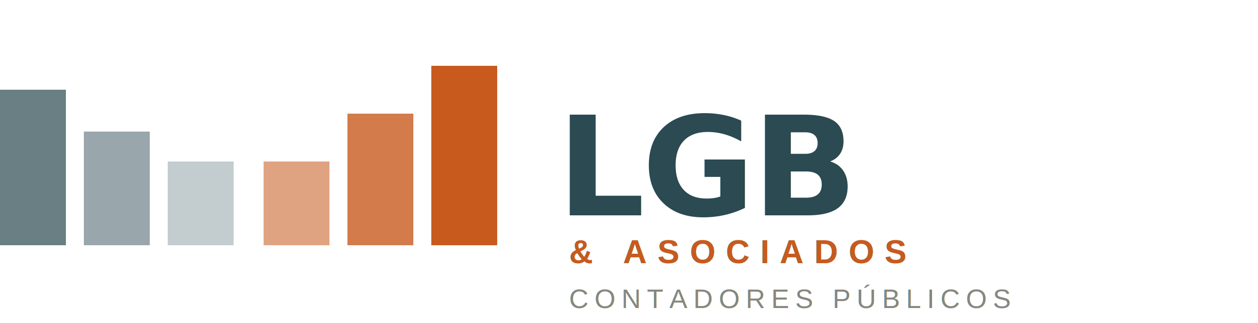 LGB & Asociados - Contadores Públicos
